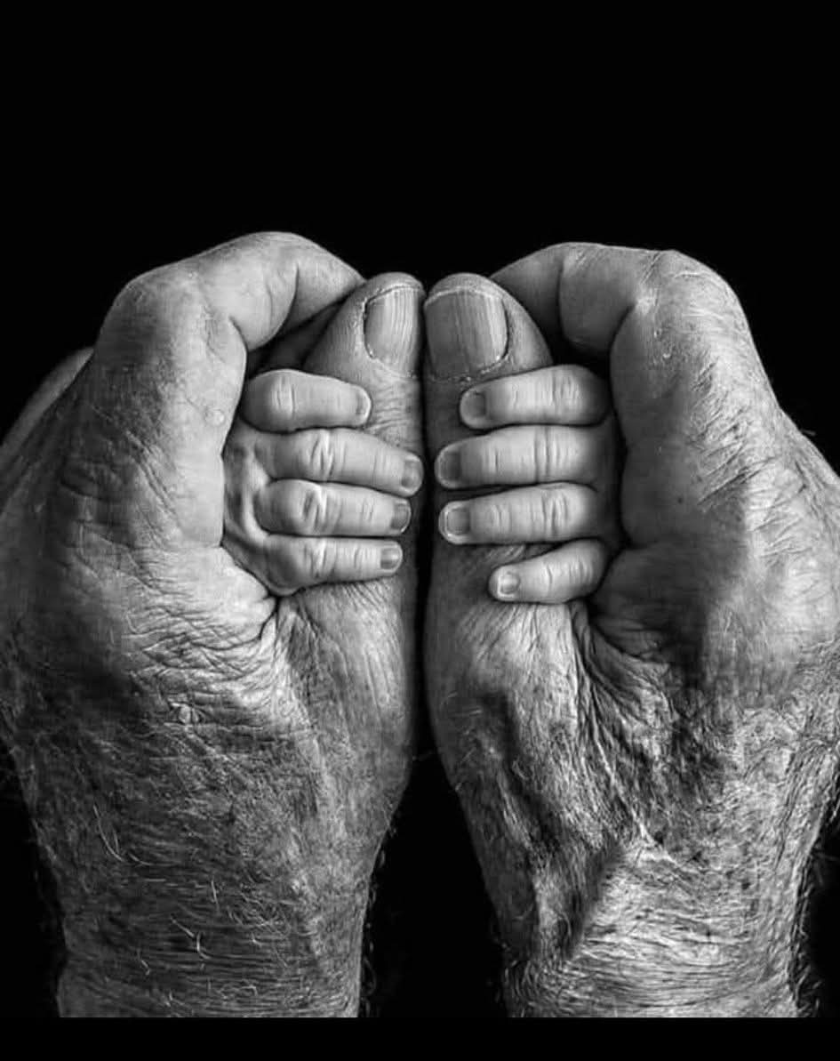 Grandir, Mûrir, Vieillir,&nbsp;Mourir